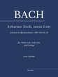 Erbarme Dich, mein Gott Orchestra sheet music cover